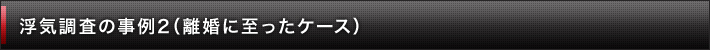 浮気調査の事例2（離婚に至ったケース）